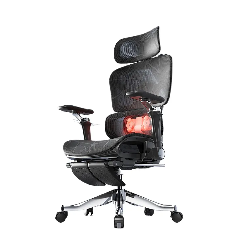 Ergonomic Massage Lumbar Suppo - Massage review and price